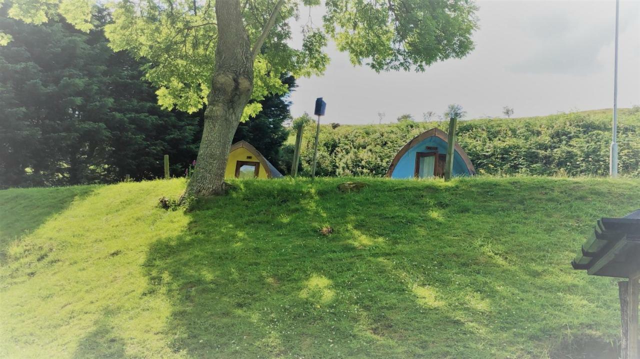 East Coast Adventure Centre Glamping Hotel Rostrevor Bagian luar foto